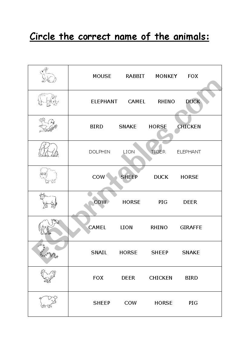 Choose the correct name of animals