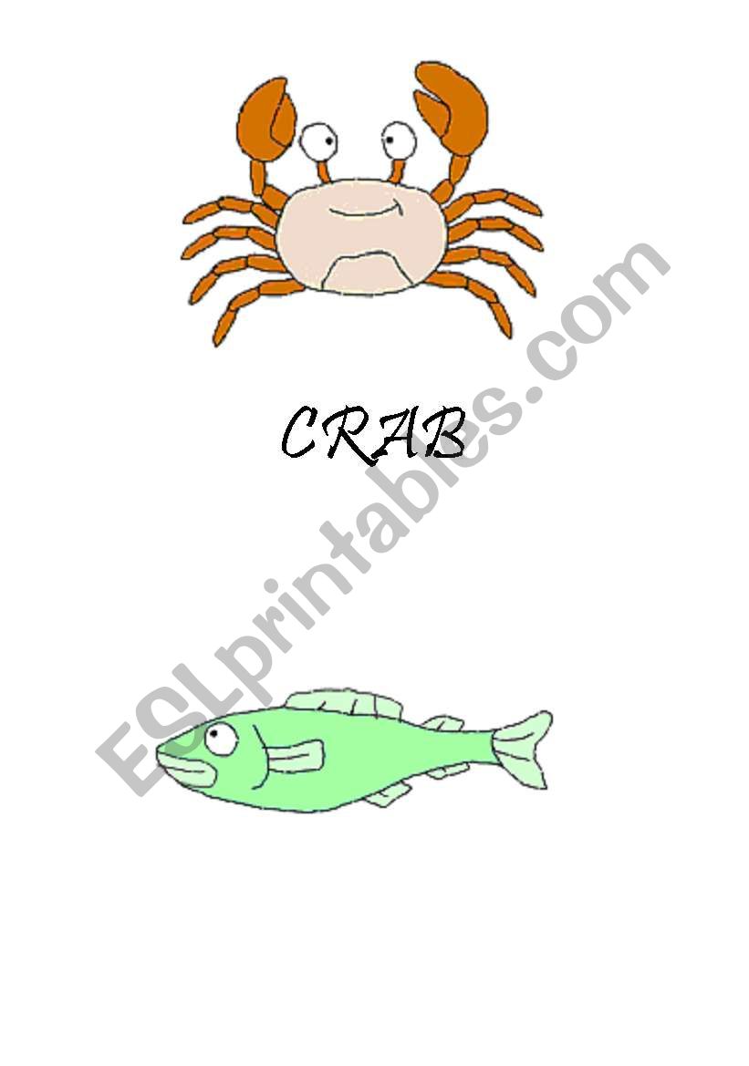 sea animals worksheet