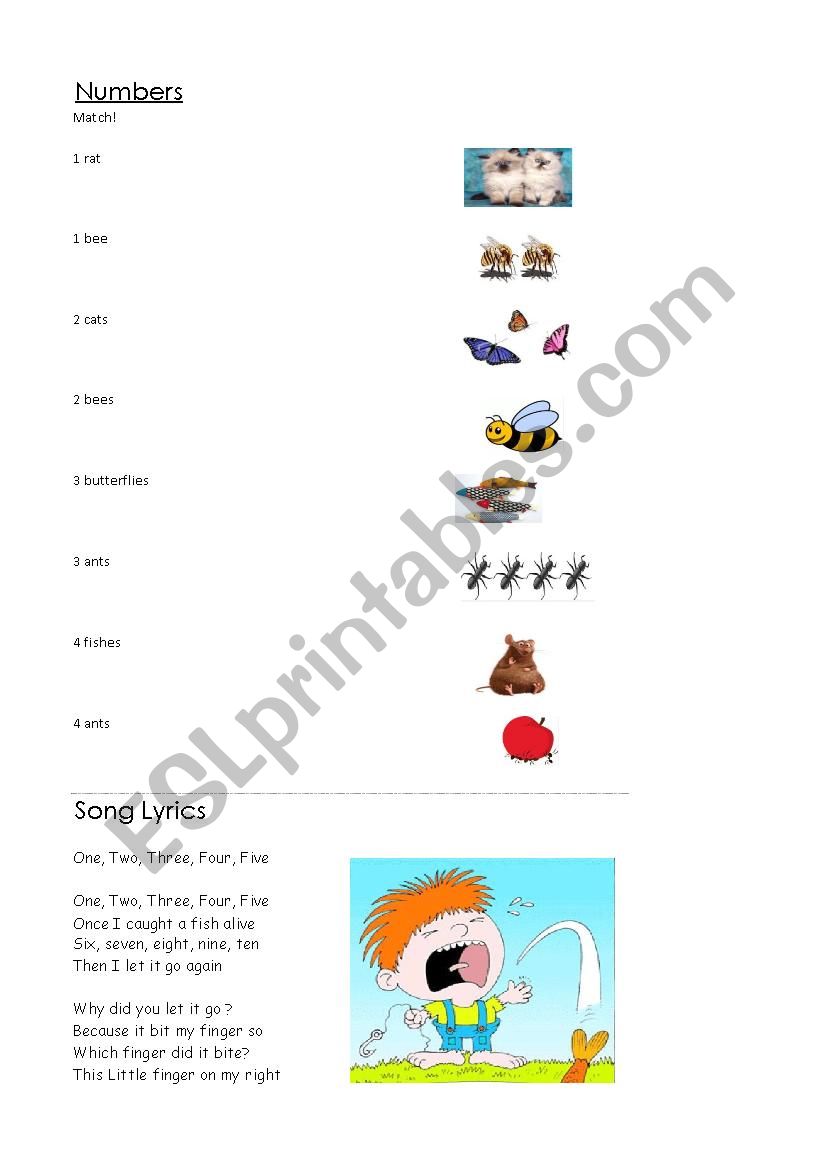 Numbers worksheet