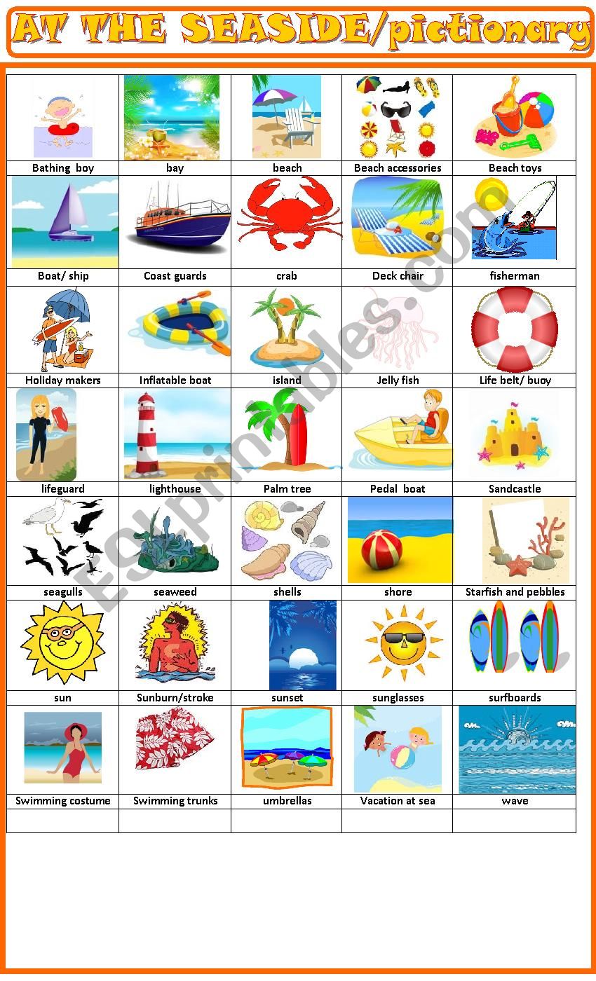 At the seaside: pictionary worksheet