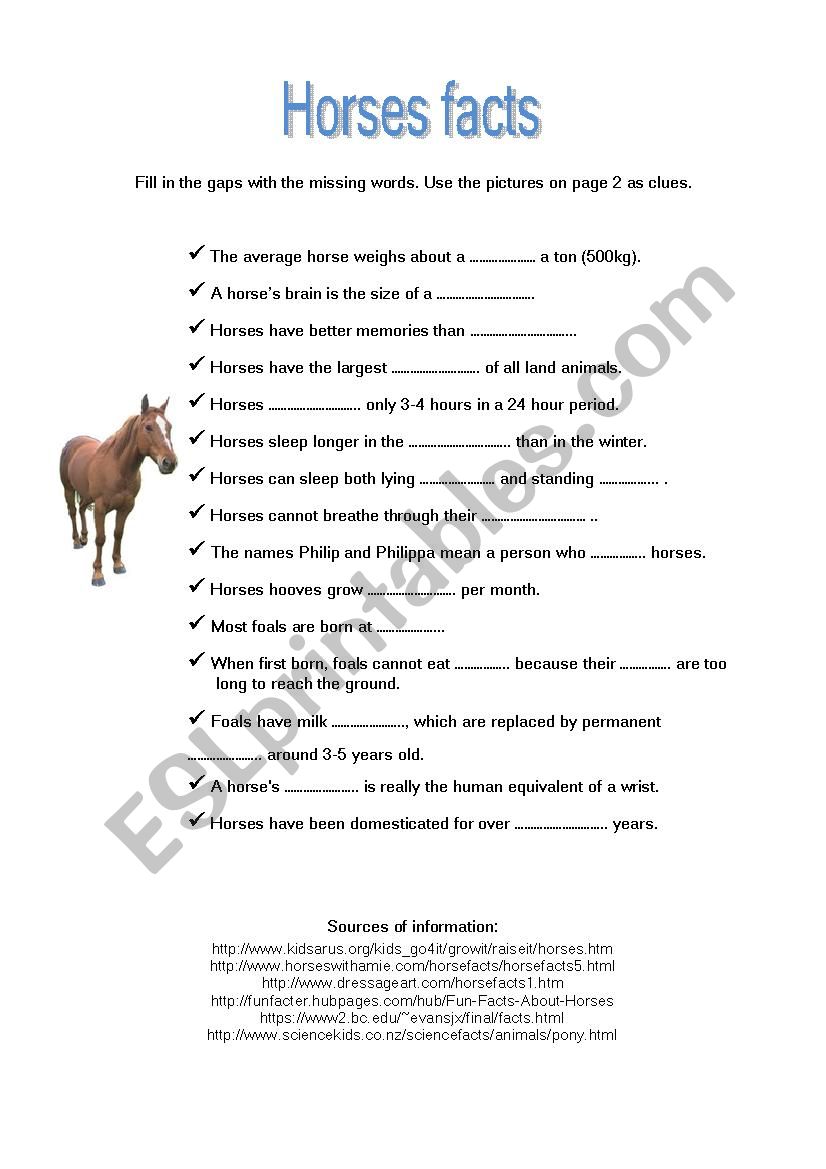 Horses worksheet