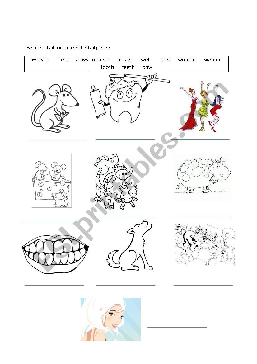 irregular plurals worksheet