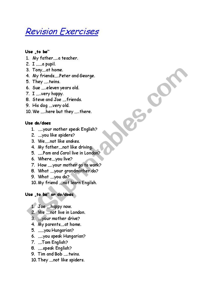 Revision Exercises worksheet