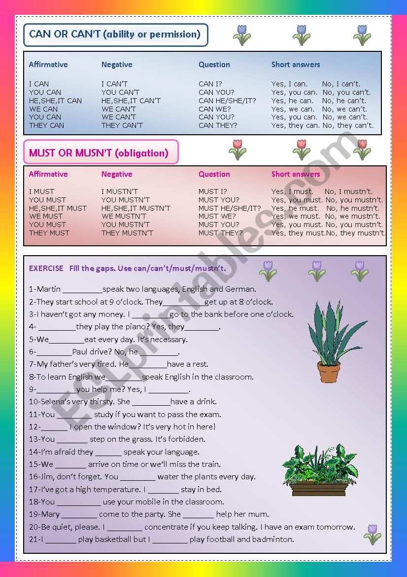 CAN OR MUST worksheet