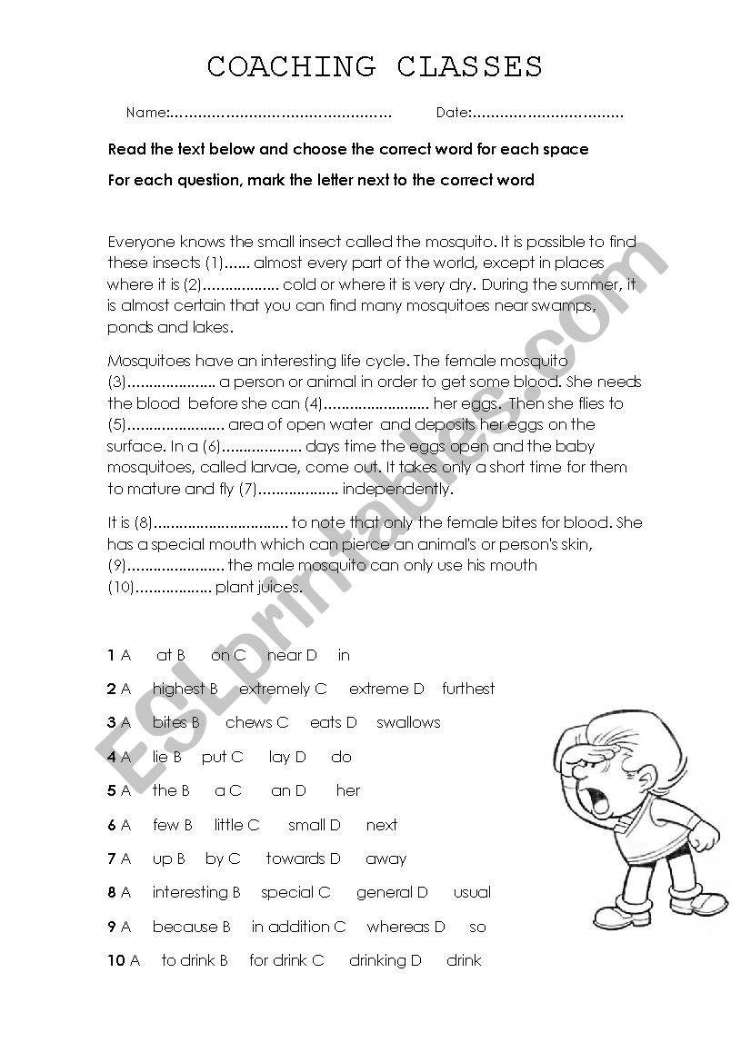 FILL IN THE GAPS- PET excercise