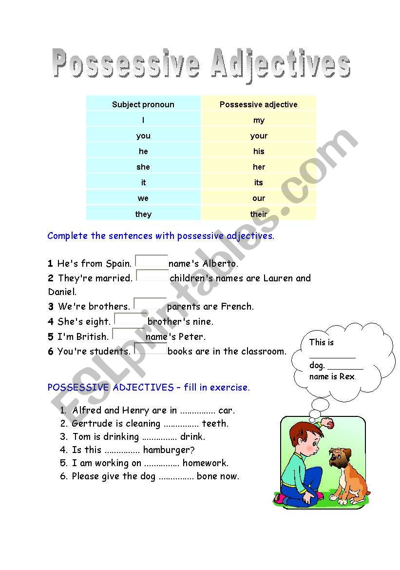 possessive adjectives worksheet