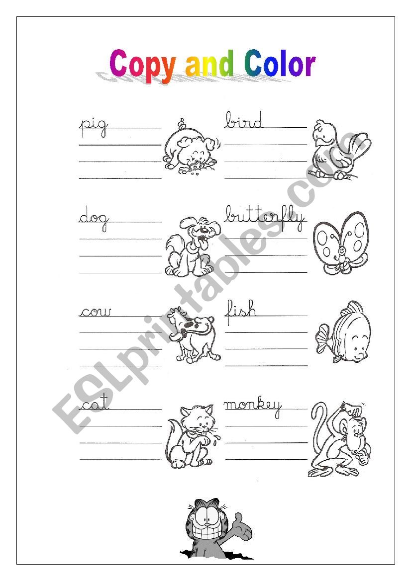 Animals worksheet