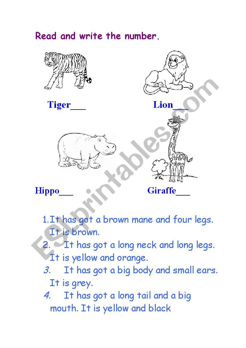 Wild Animals worksheet