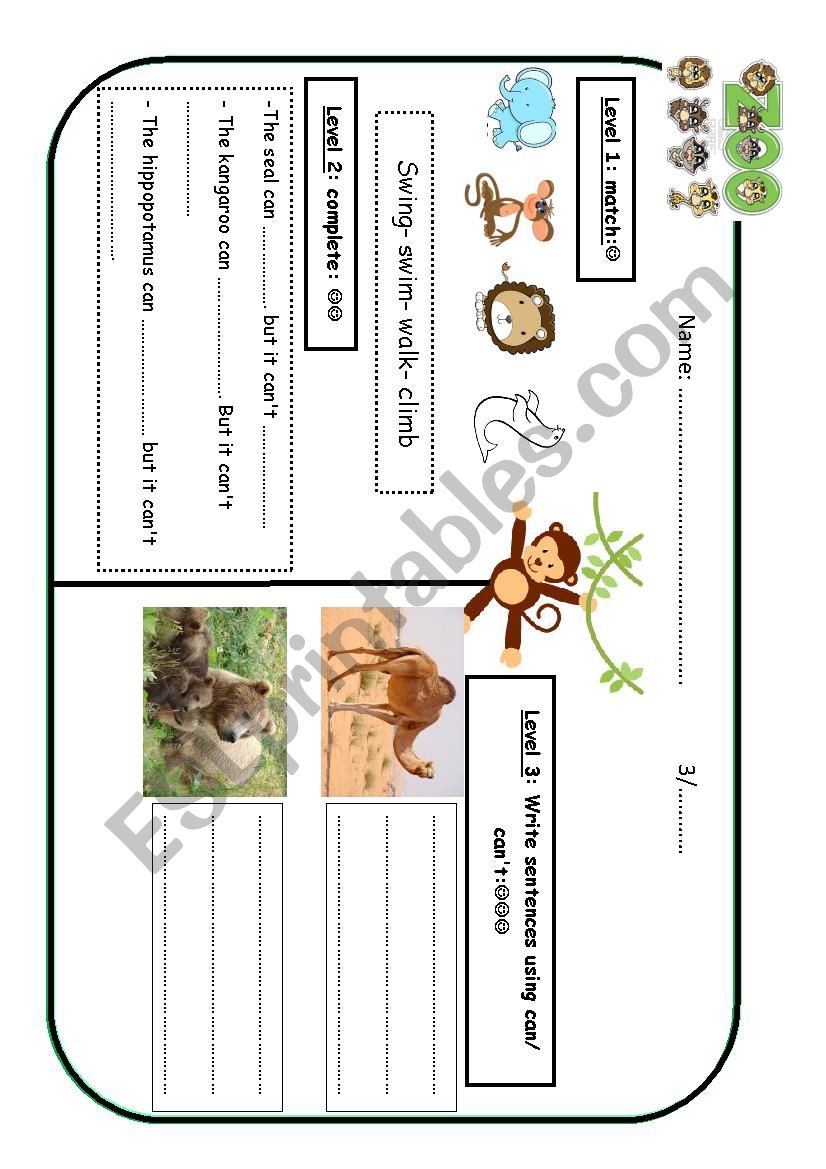 animals worksheet