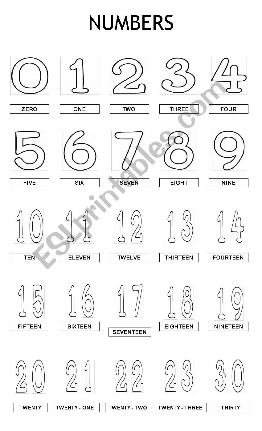 NUMBERS 1 TO 30 worksheet