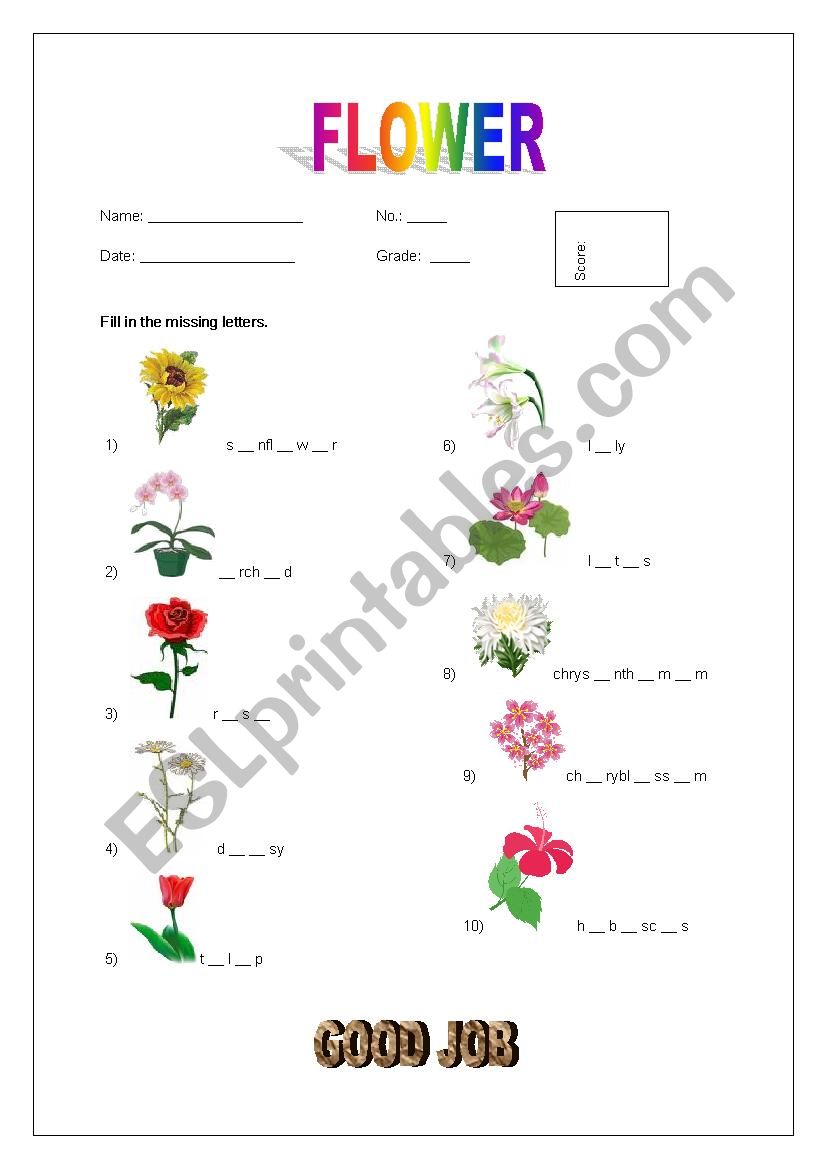 Flower worksheet