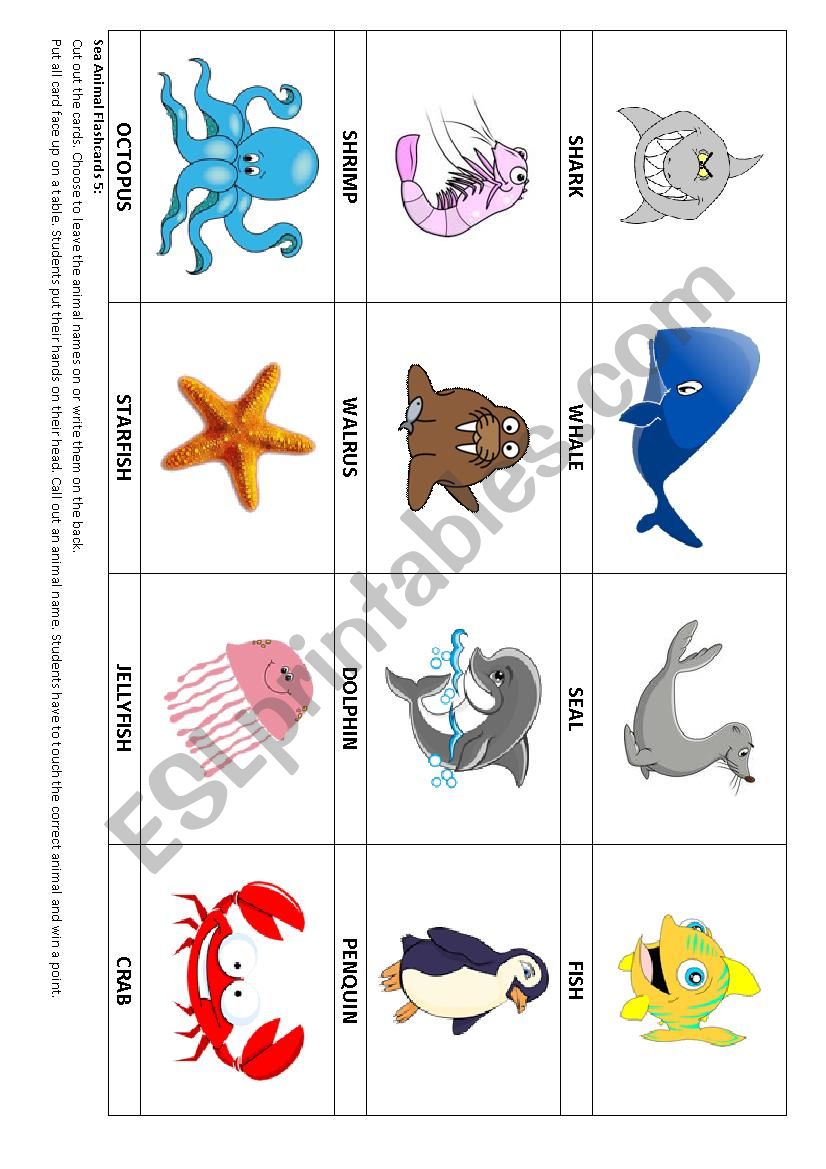 Sea Animal flashcards 4 & Game