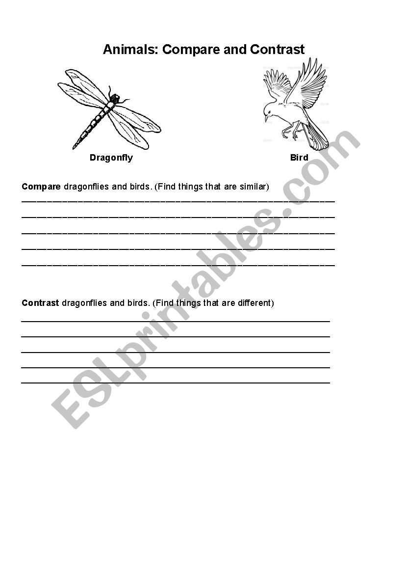 Compare and contrast animals worksheet