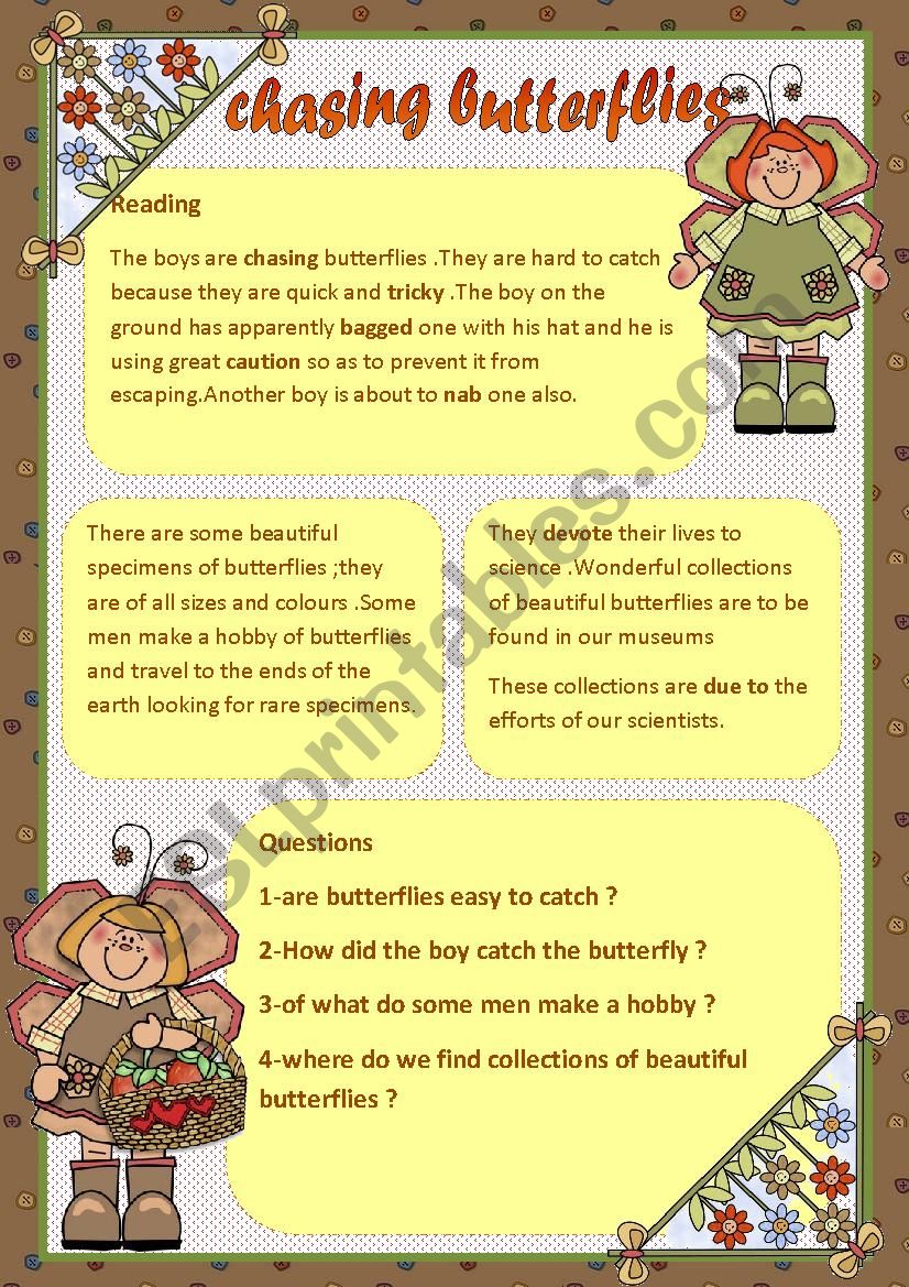 chasing butterflies  worksheet