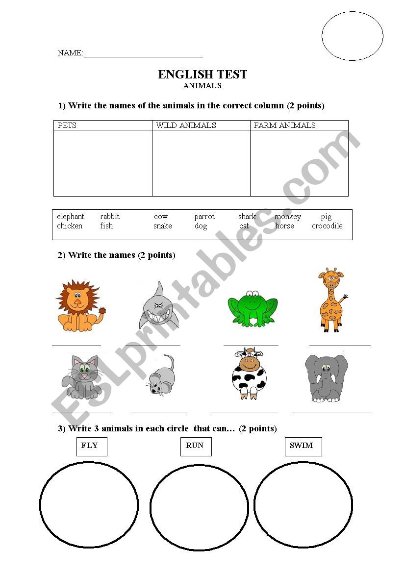 Animals test worksheet