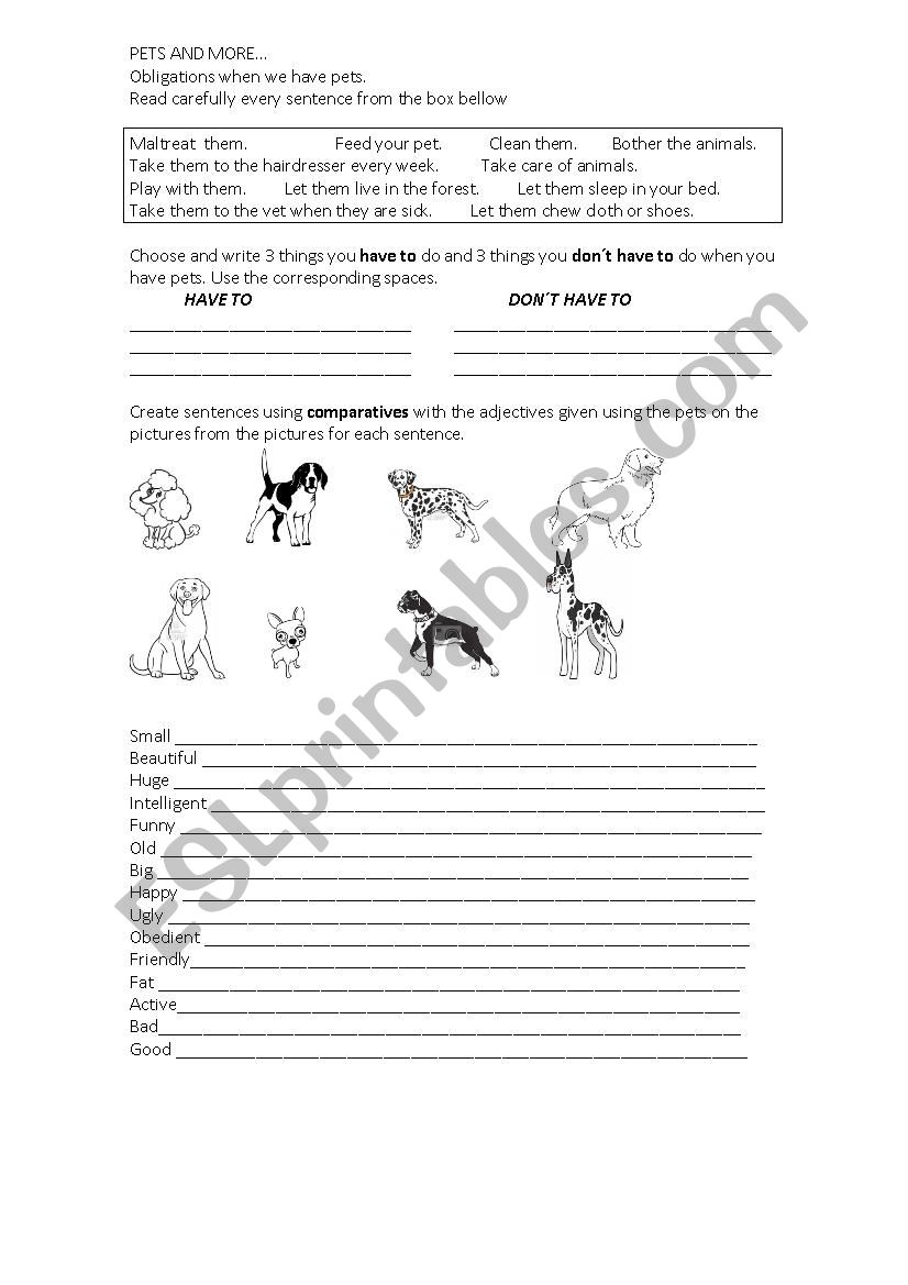 Pets and more worksheet