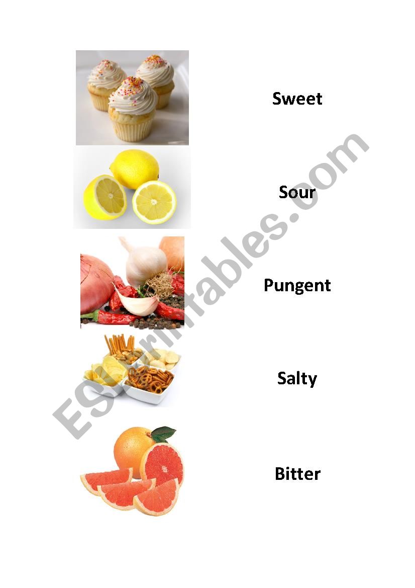 Tastes worksheet