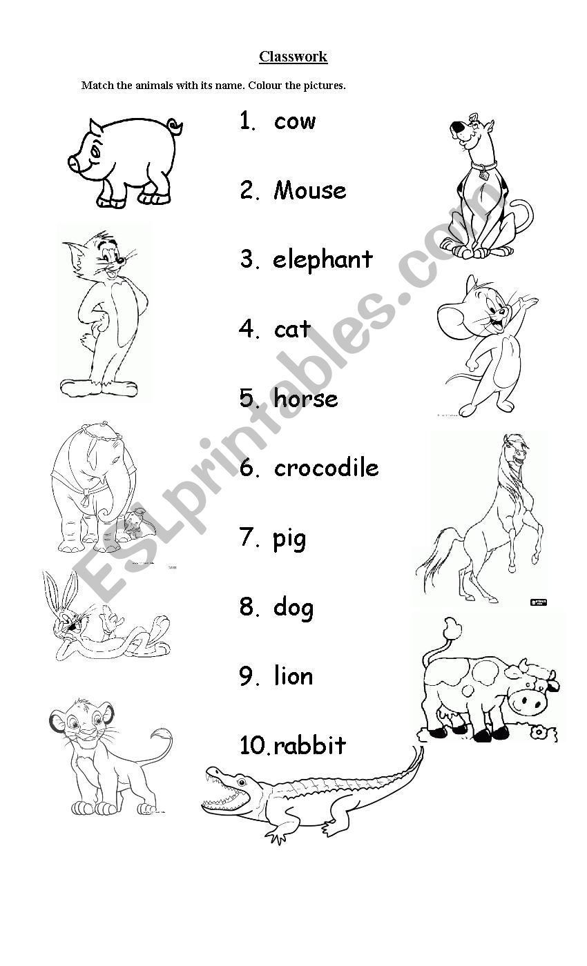 Animals worksheet