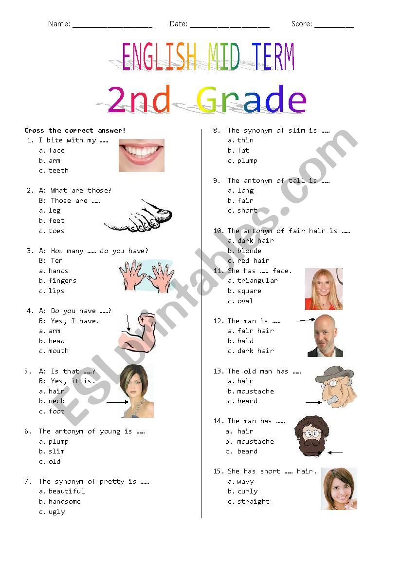 2nd Grade Mid Term worksheet