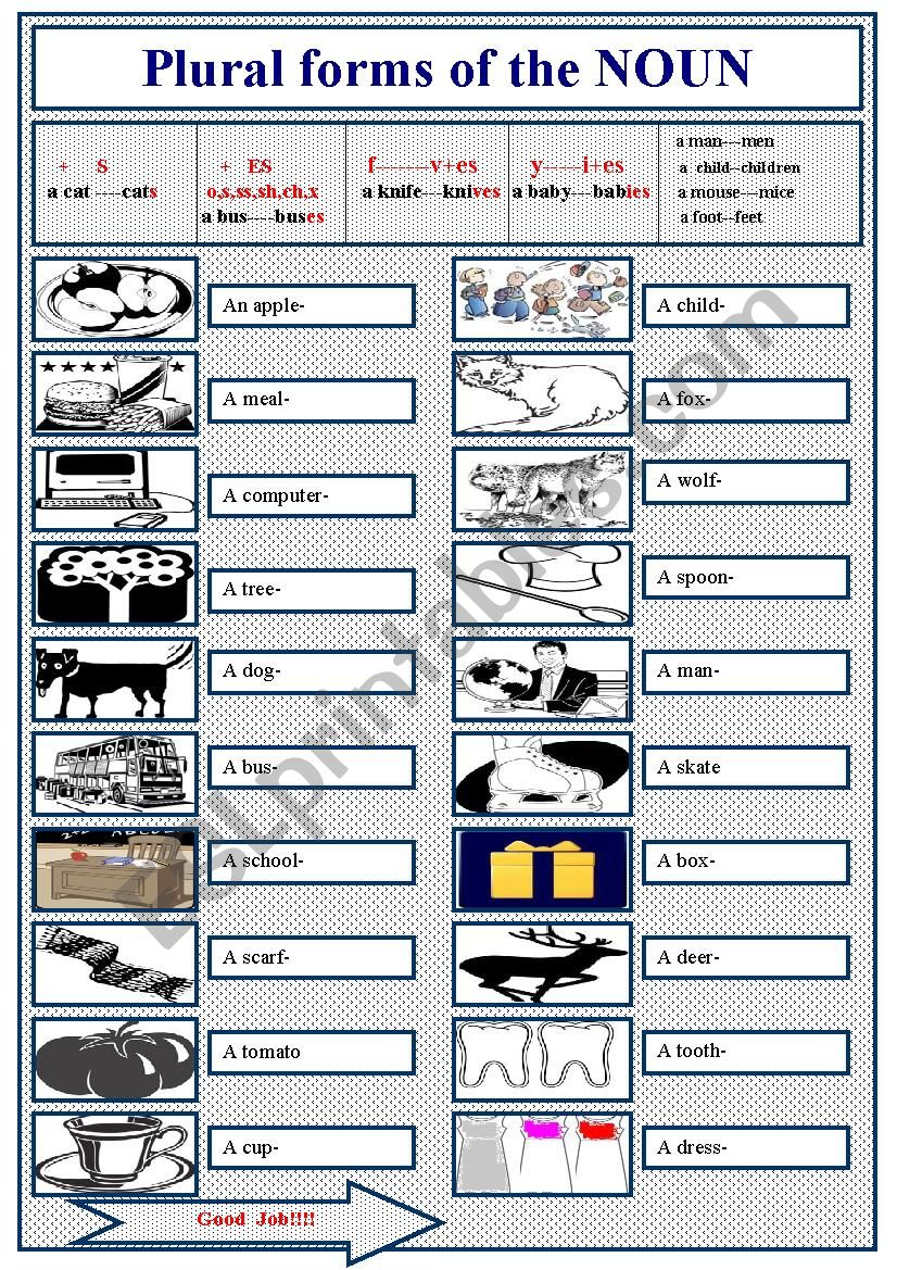 Grammar: Plural forms of the Nouns