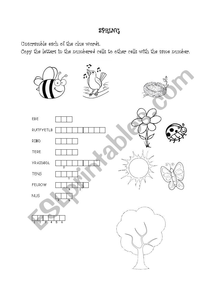 Spring worksheet