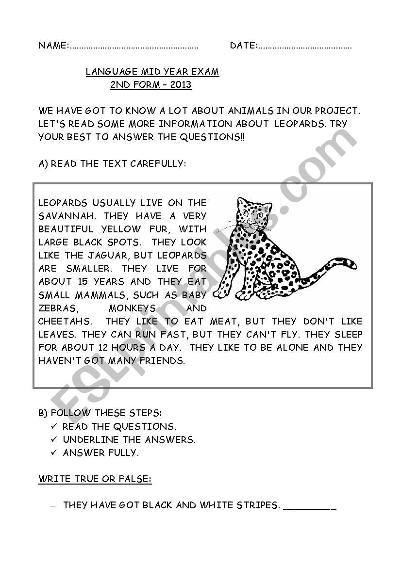 essay on leopard for class 1