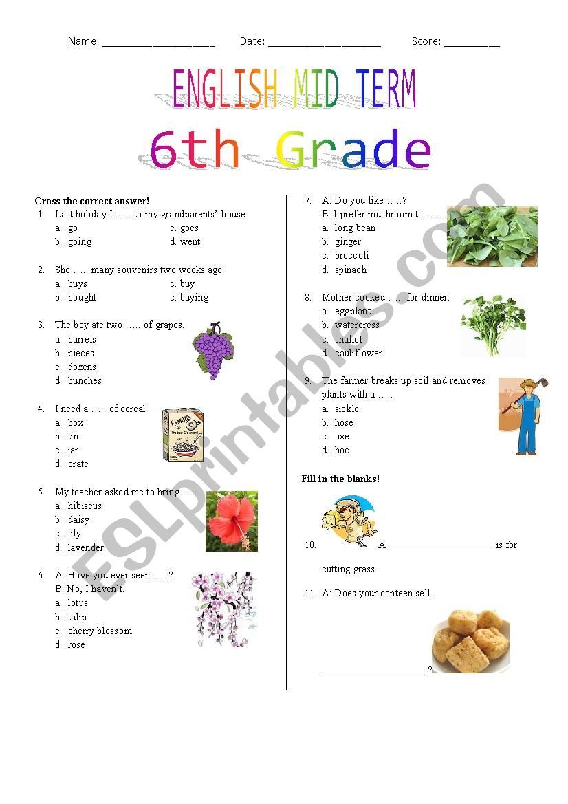 6th Grade Mid Term worksheet