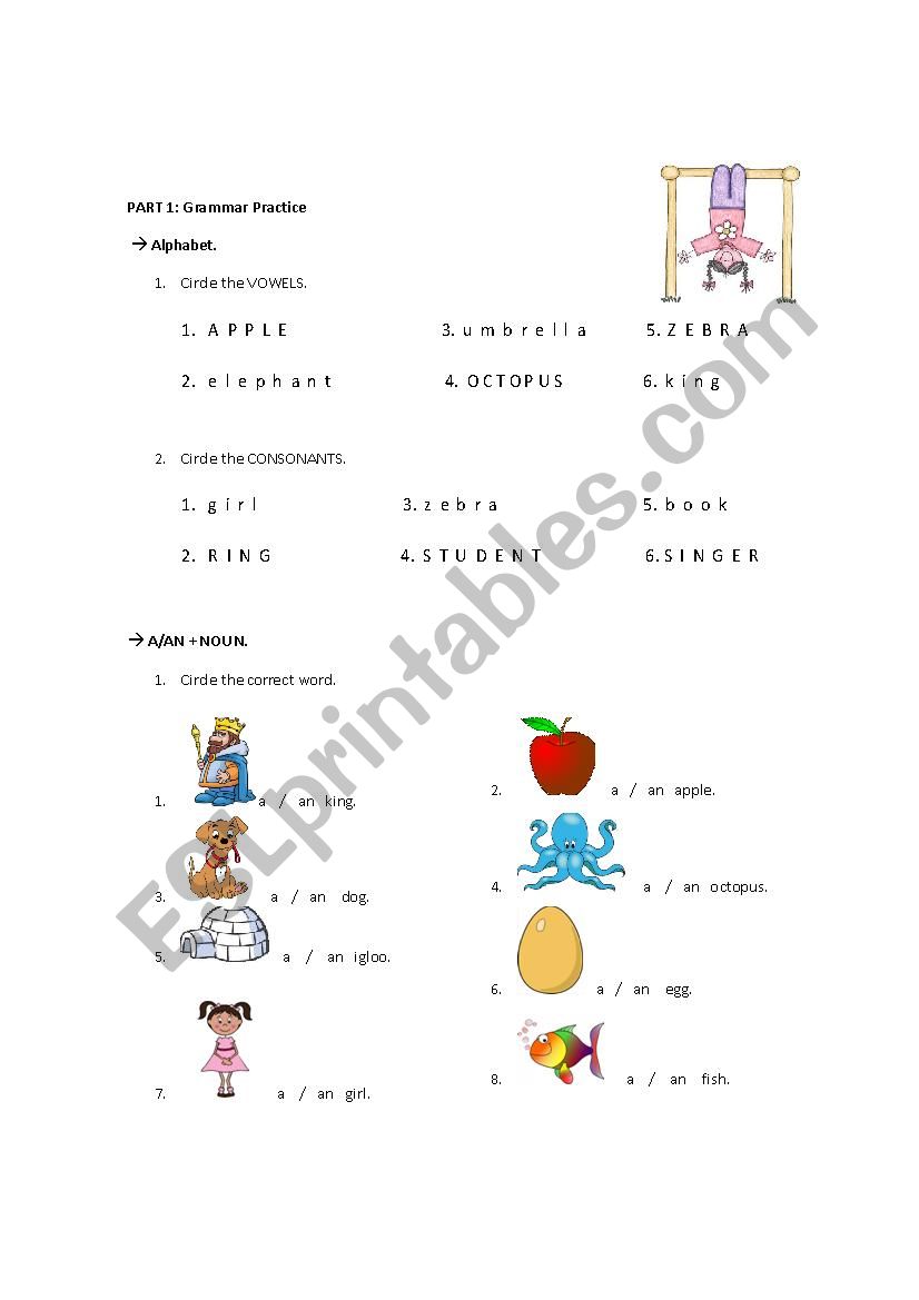 alphabet + nouns worksheet