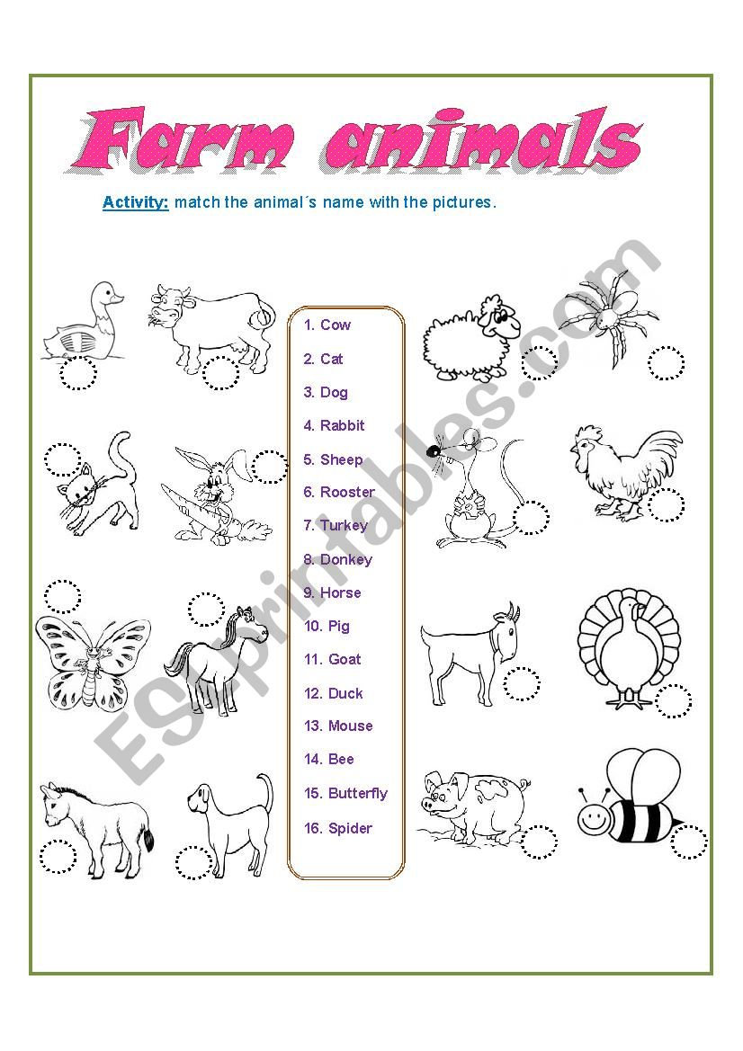 Farm Animals worksheet