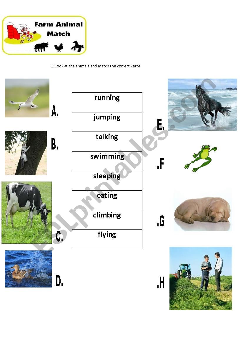 Farm animals worksheet