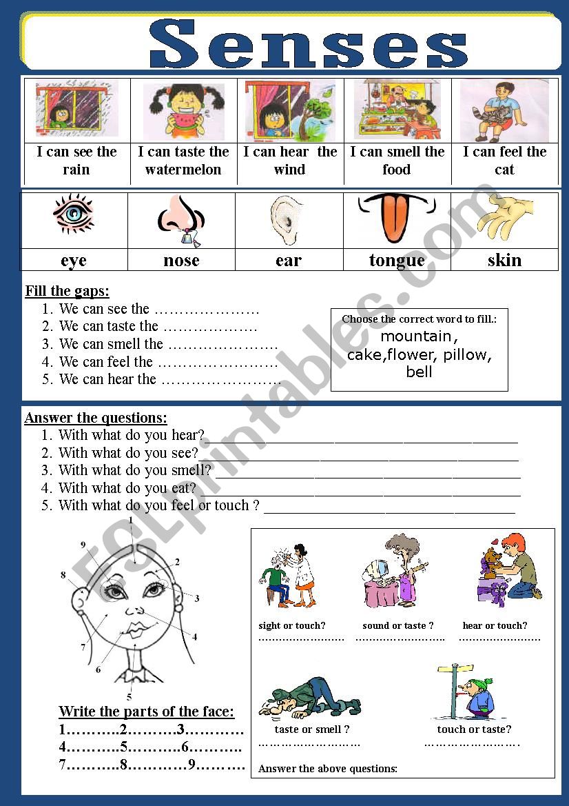 Senses worksheet