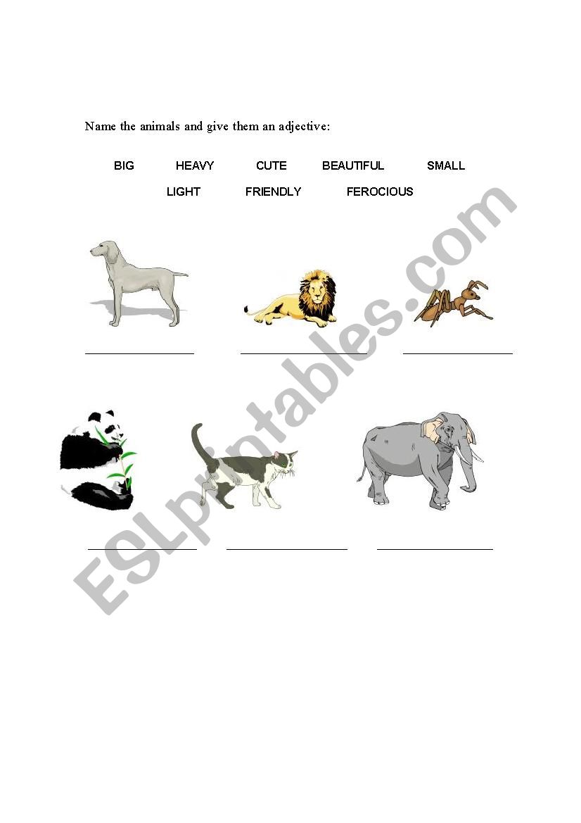 Animals worksheet