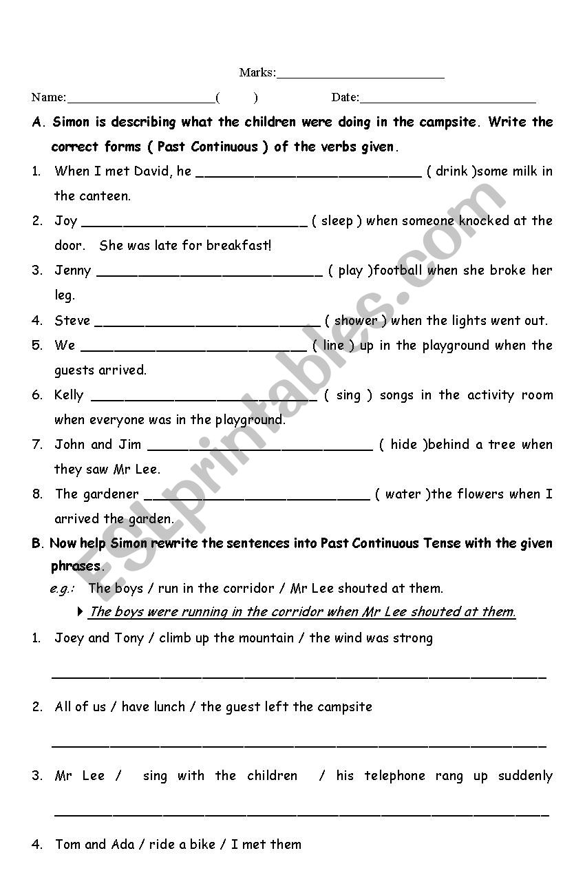 Past Continous Test worksheet