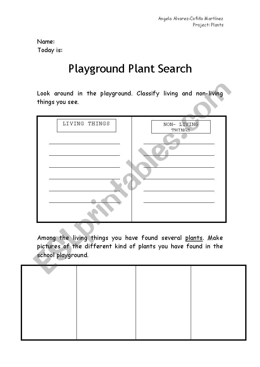 plants worksheet