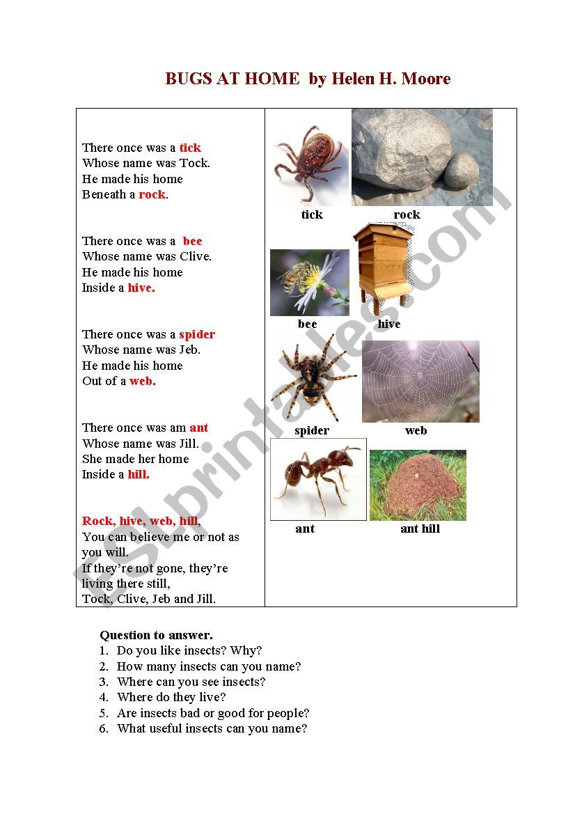 Bugs at Home (a poem and questions to answer)