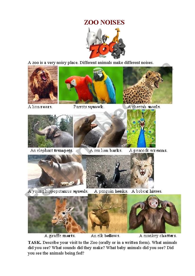 ZOO NOISES Pictionary worksheet