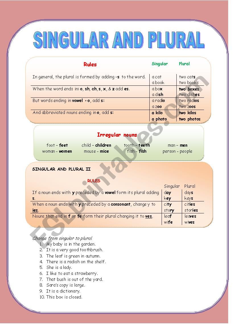 Singular and plural nouns worksheet