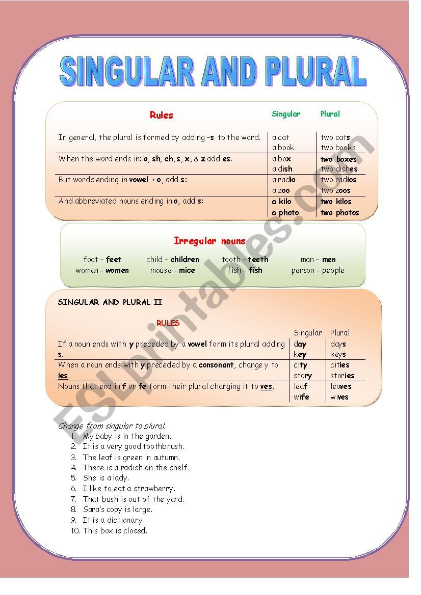 Singular and plural nouns worksheet