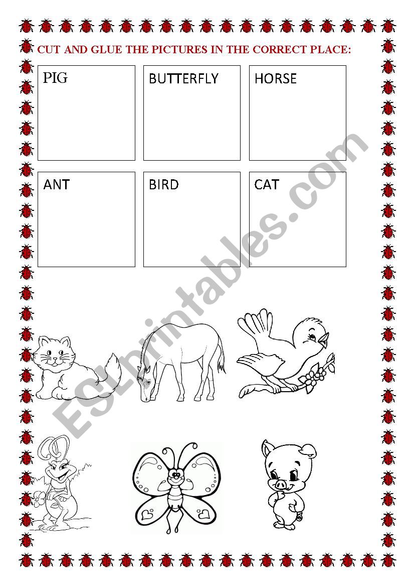 ANIMALS worksheet