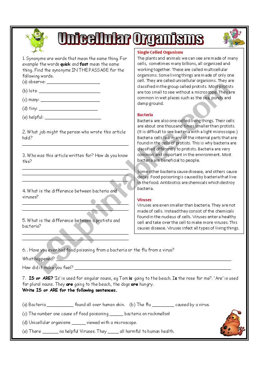 Unicellular Organisms worksheet