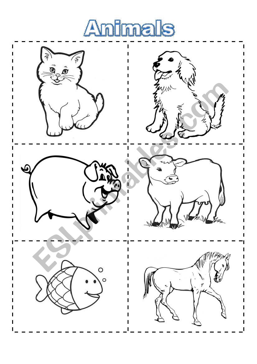 Animal Say Color Cut Read Flashcards