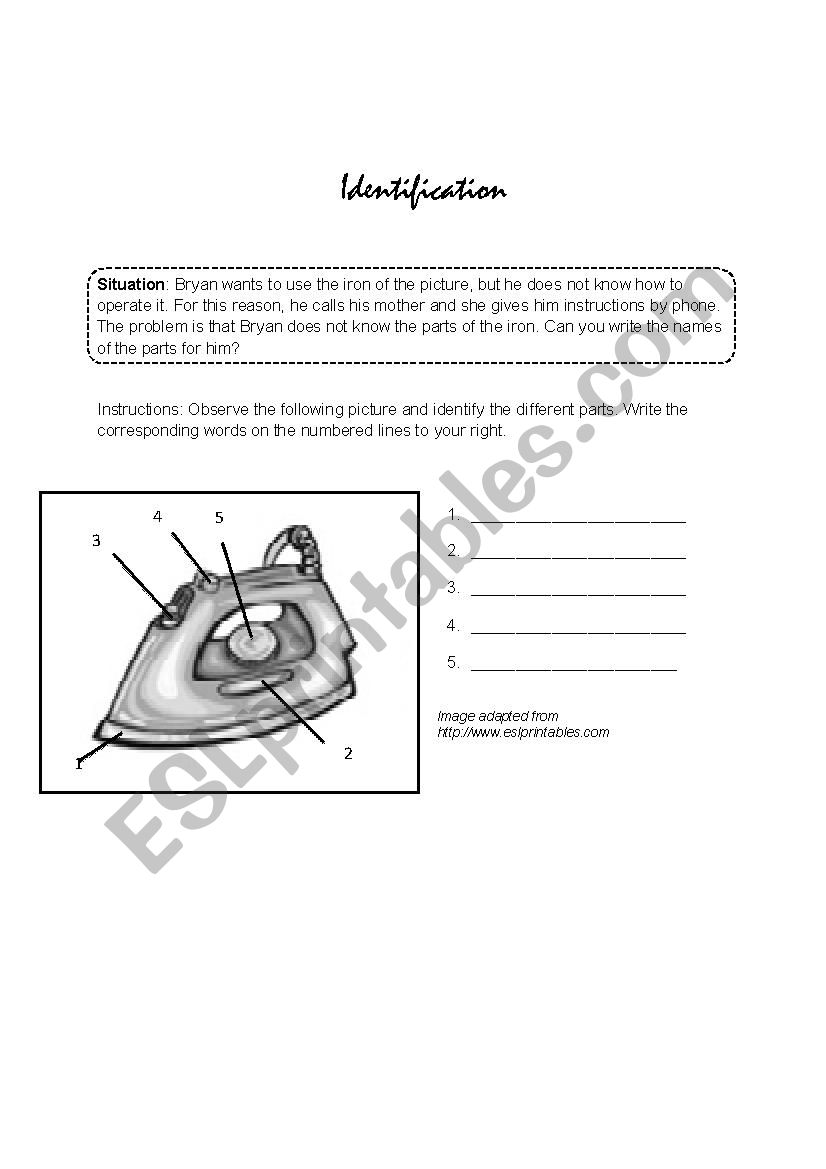 Identification worksheet