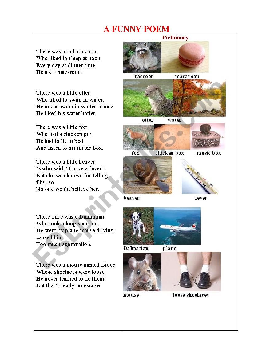 A FUNNY POEM about Animals worksheet
