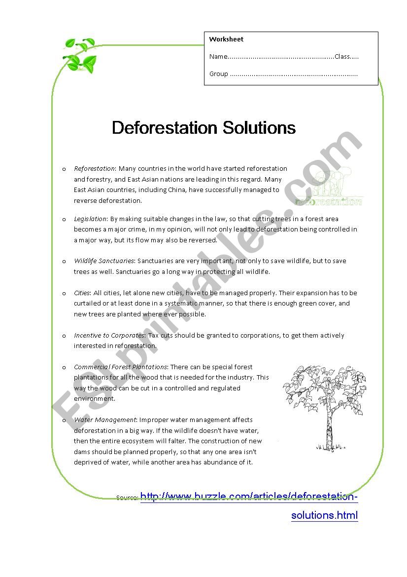 Deforestation worksheet