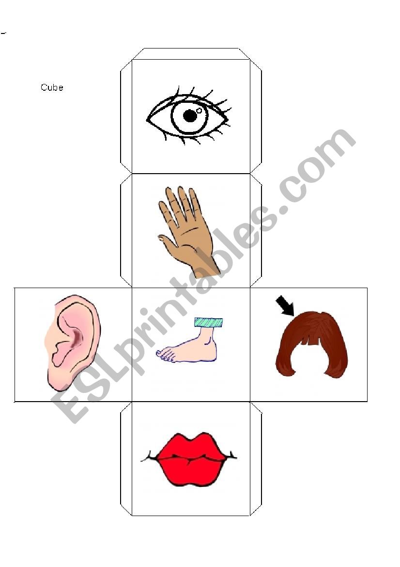  DICE BODY PARTS worksheet