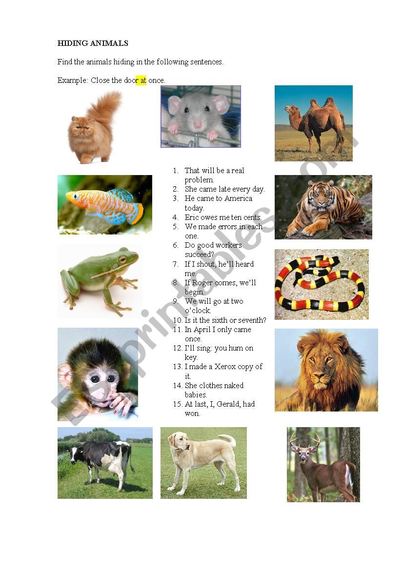 Hidden Animals (a word game) worksheet