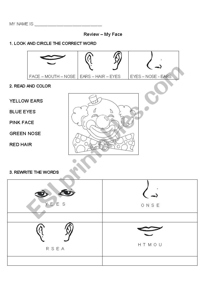 Face Parts worksheet