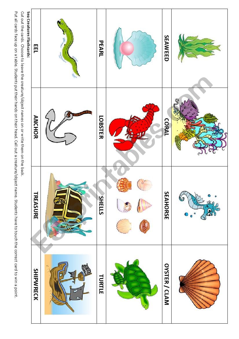 Sea Animal Flashcards & Game worksheet