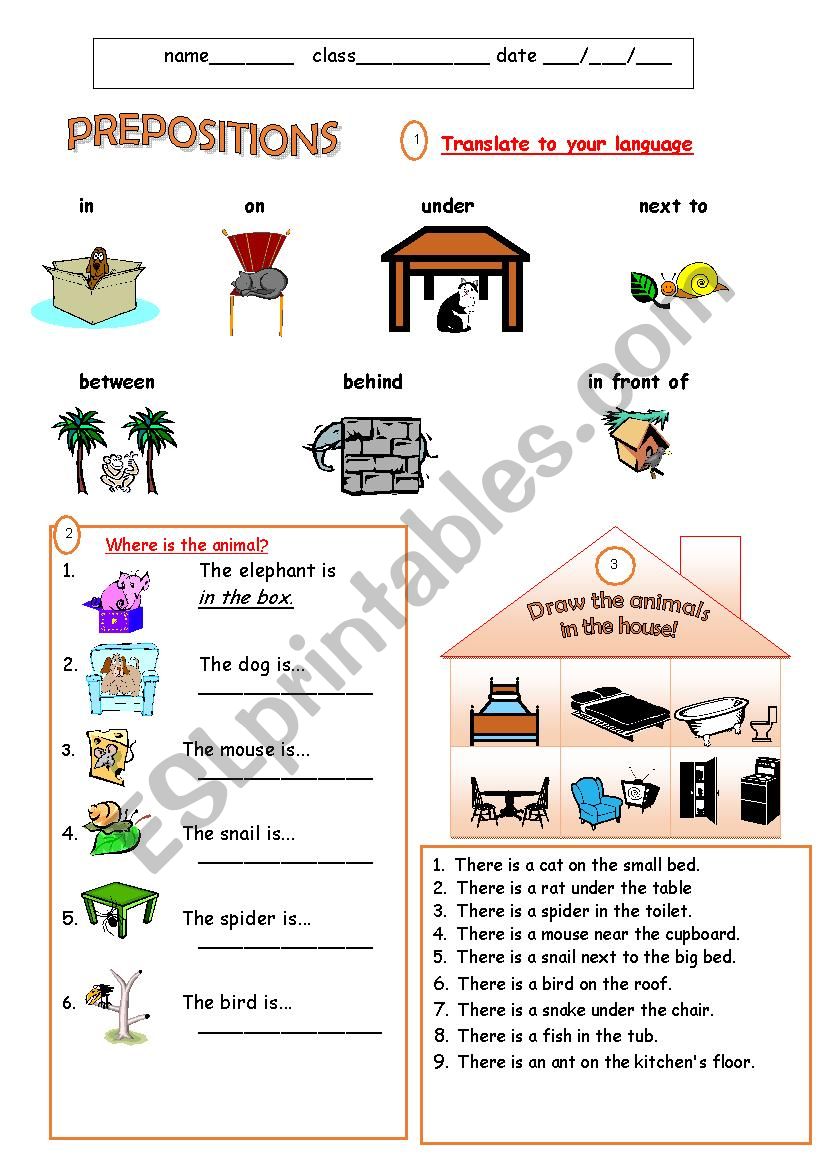 Preposition of place worksheet