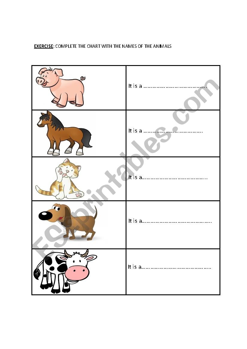 ANIMALS worksheet